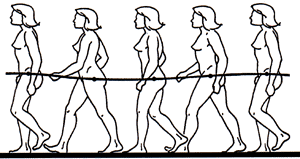 CICLO DELLA DEAMBULAZIONE
